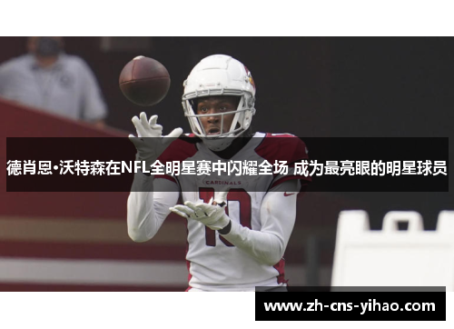 德肖恩·沃特森在NFL全明星赛中闪耀全场 成为最亮眼的明星球员