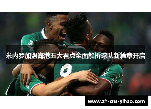 米内罗加盟海港五大看点全面解析球队新篇章开启