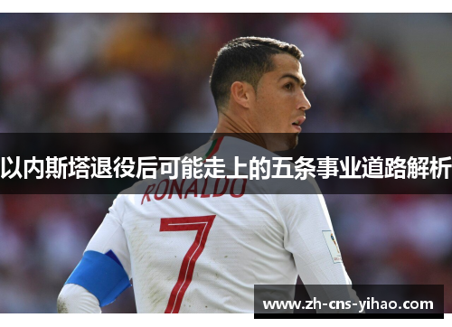 以内斯塔退役后可能走上的五条事业道路解析