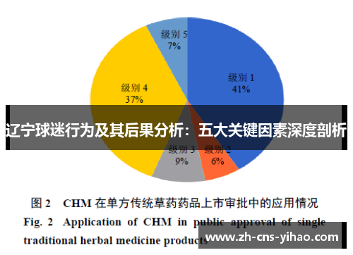 辽宁球迷行为及其后果分析：五大关键因素深度剖析