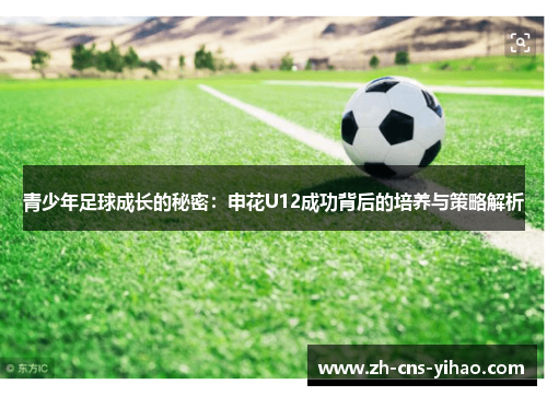 青少年足球成长的秘密:申花U12成功背后的培养与策略解析 青少年足球成长的秘密:申花U12成功背后的培养与策略解析